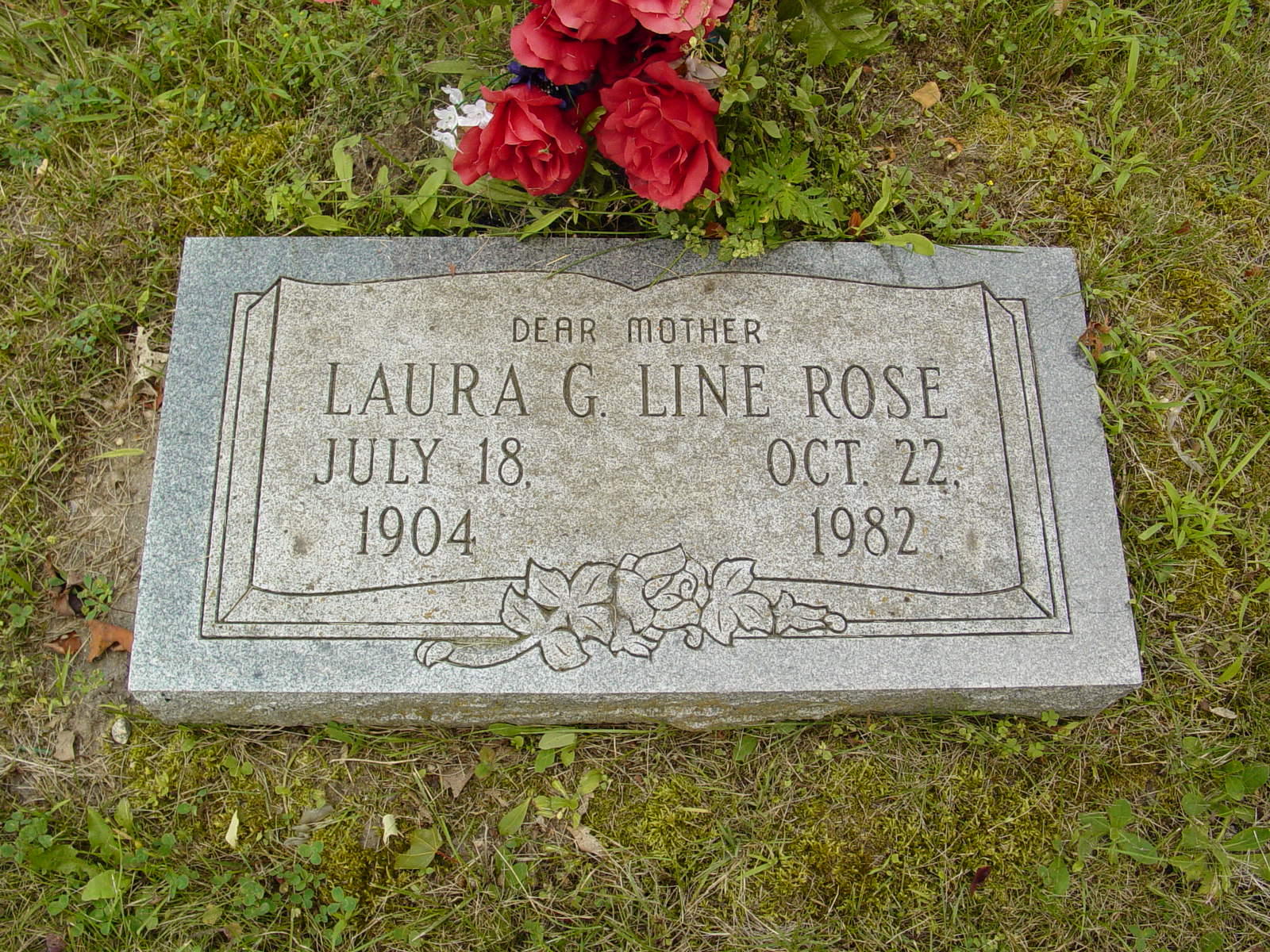 Portrait of Laura G  Line