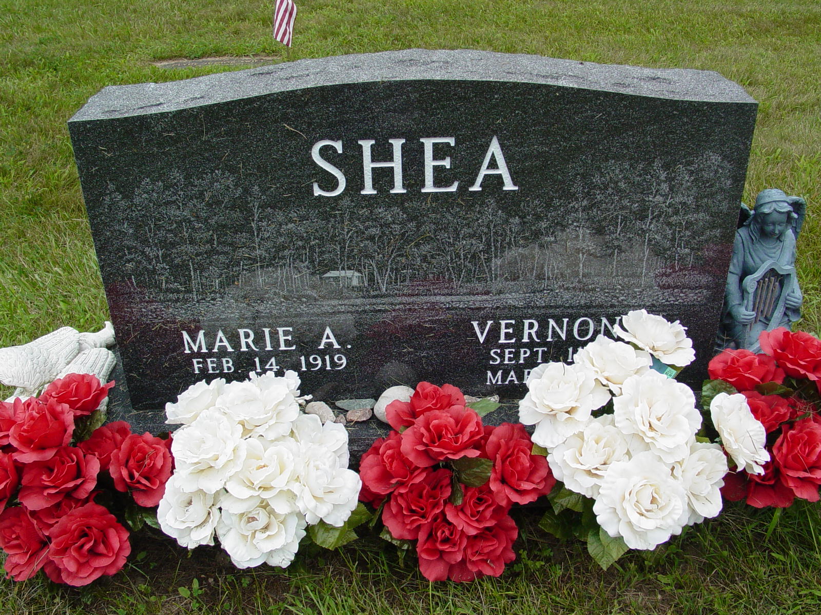 Portrait of Vernon C Shea