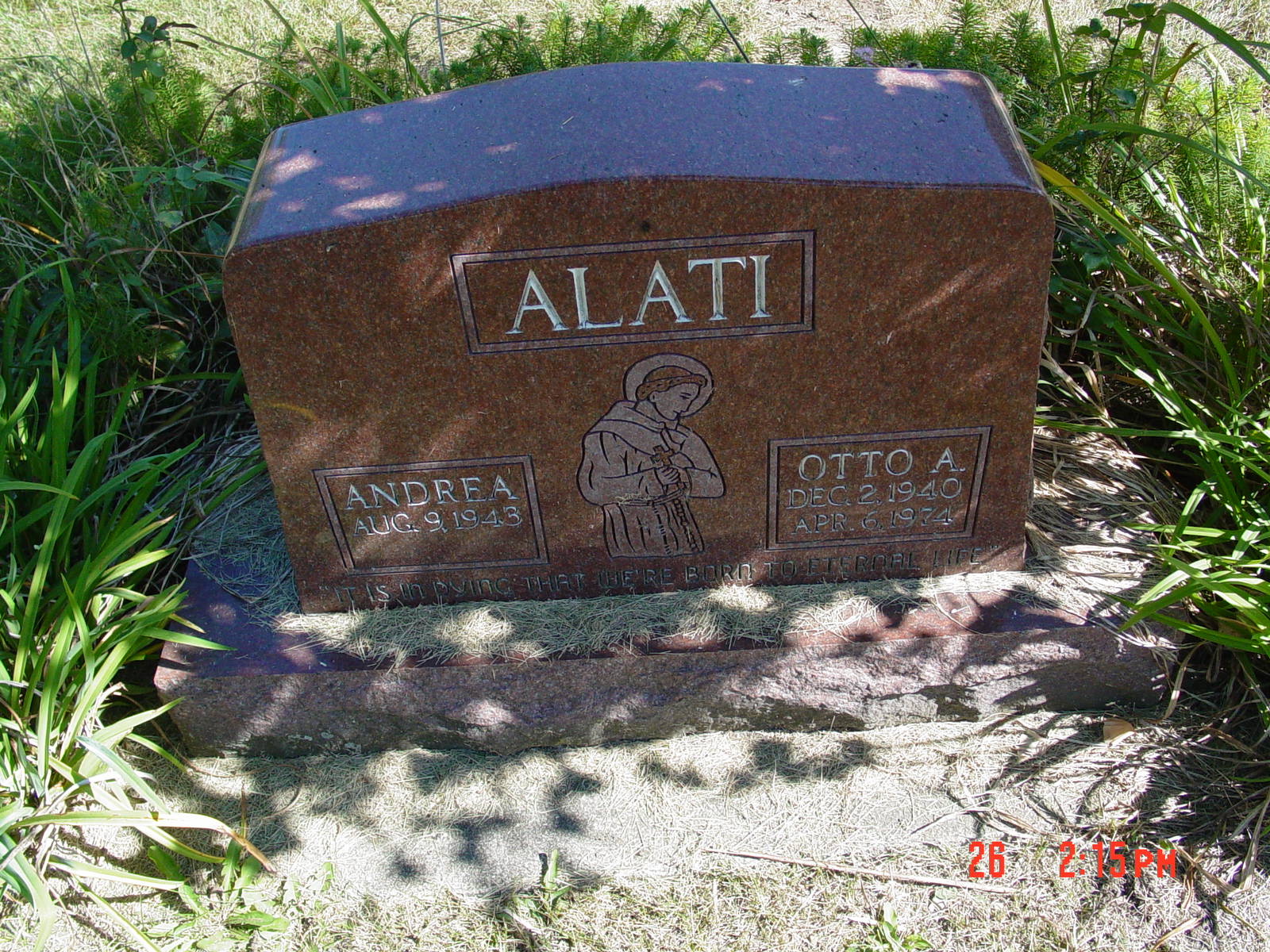 Portrait of Andrea Alati