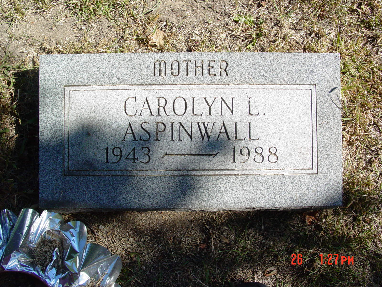 Portrait of Carolyn L Aspinwall