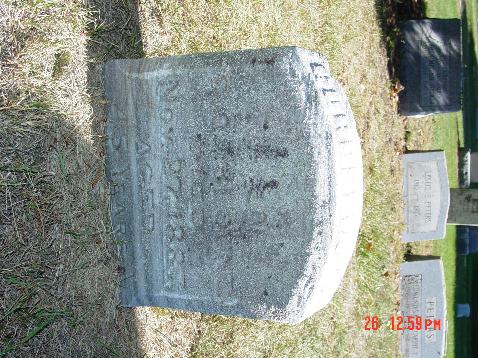 Portrait of Cordelia  Brown