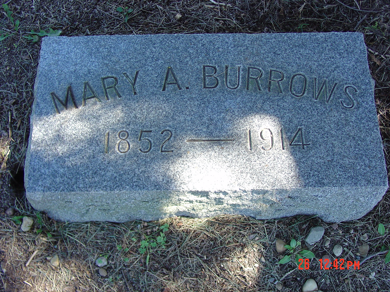 Portrait of Mary A Burrows