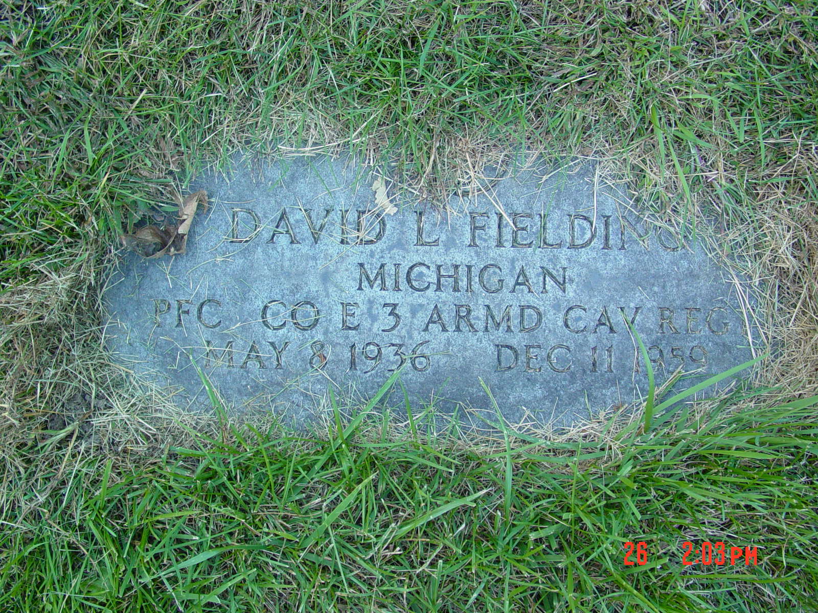 Portrait of David L Fielding