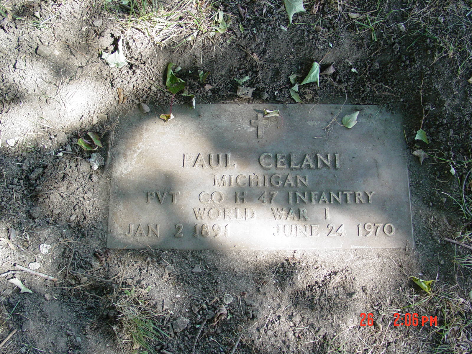 Portrait of Paul Celani