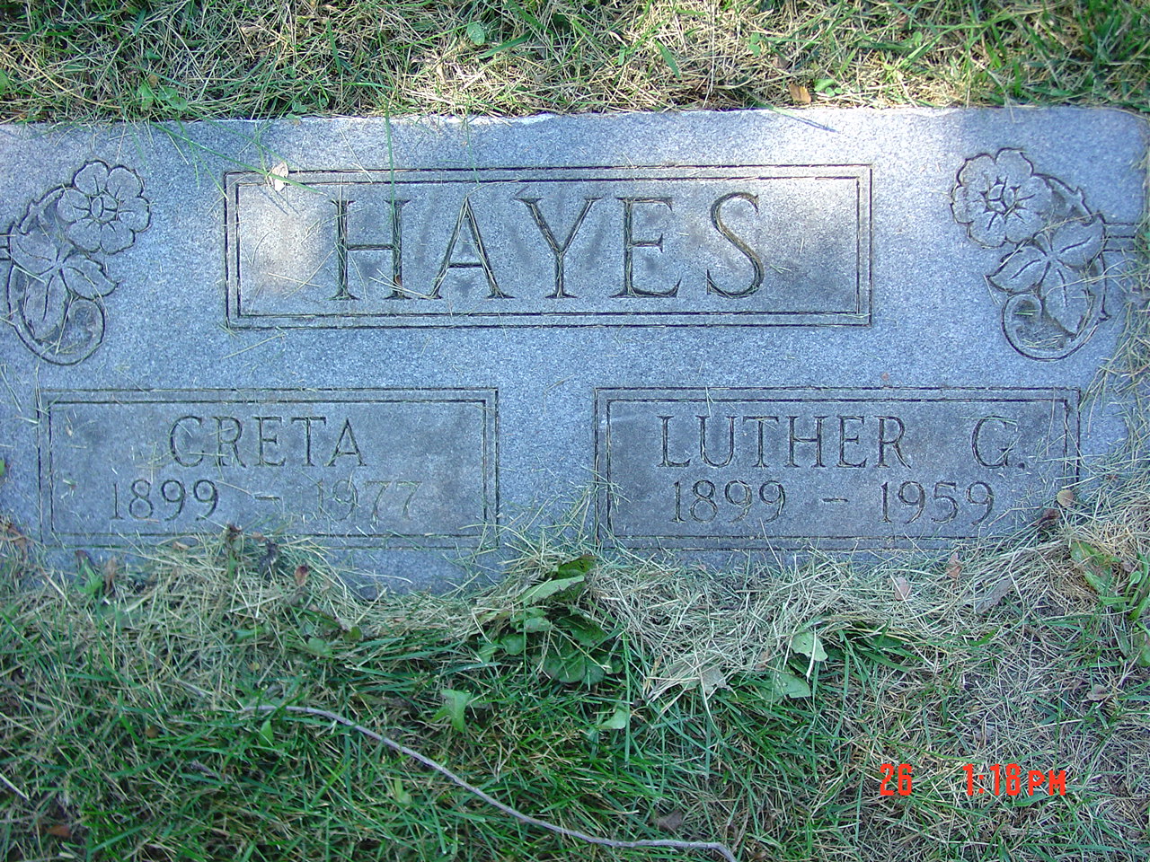 Portrait of Luther G Hayes