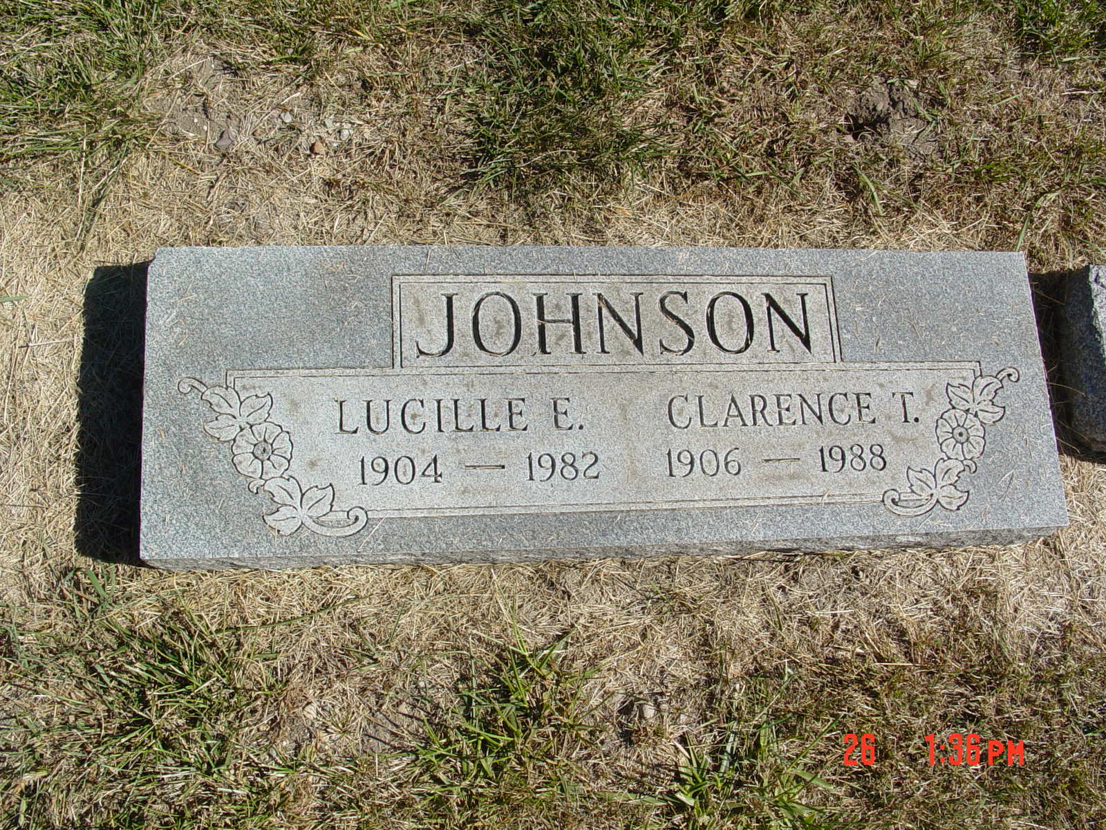 Portrait of Lucille E Johnson