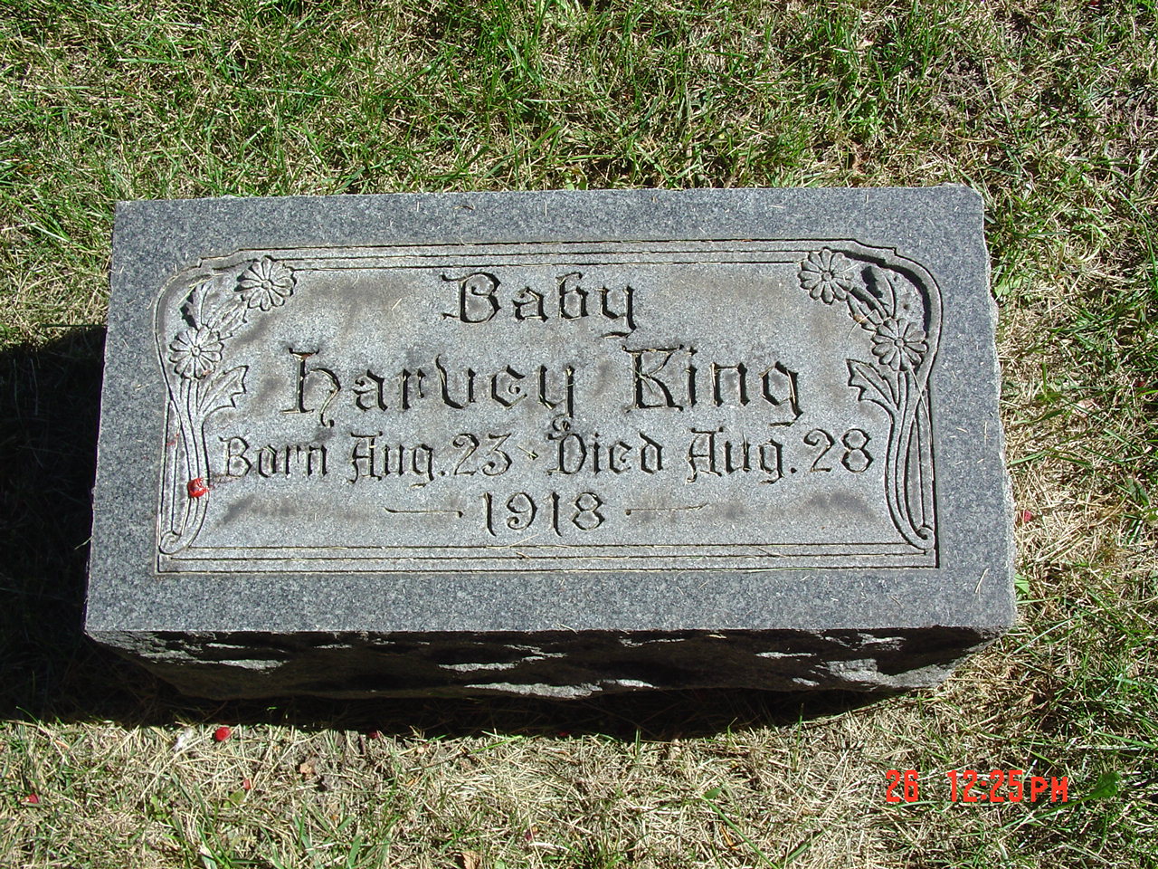 Portrait of Harvey King
