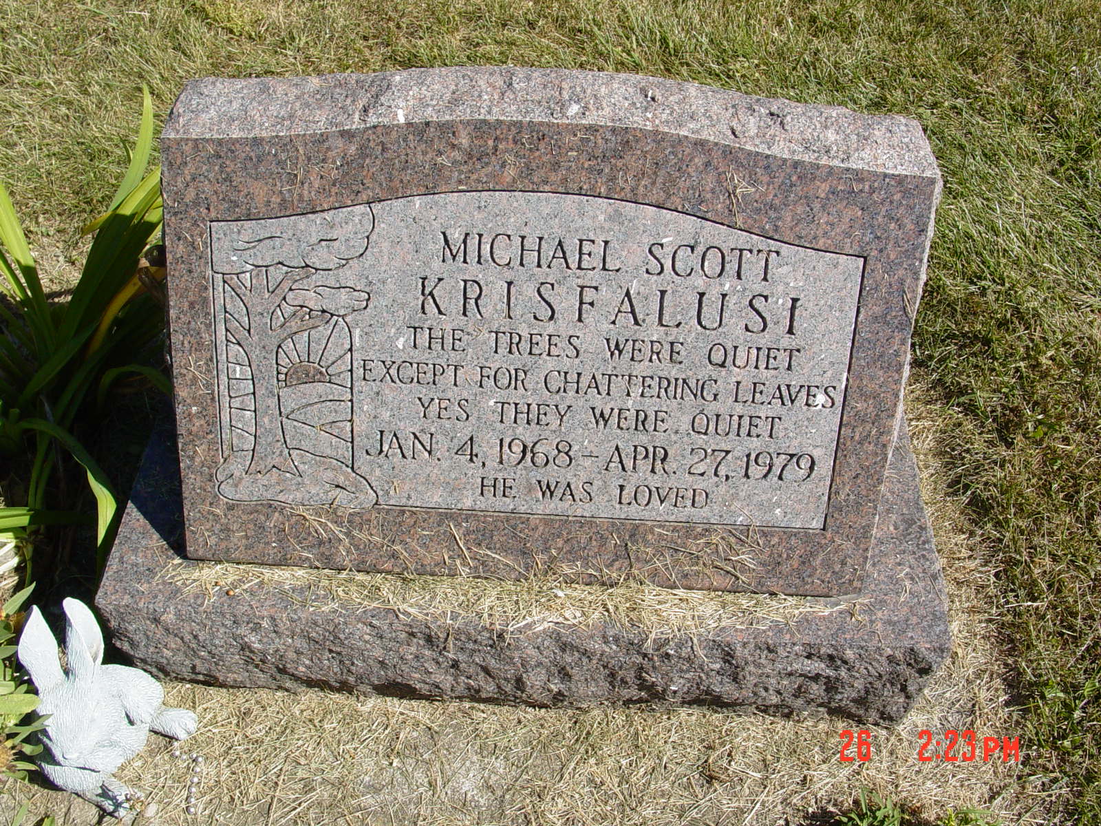 Portrait of Michael Scott Krisfalusi