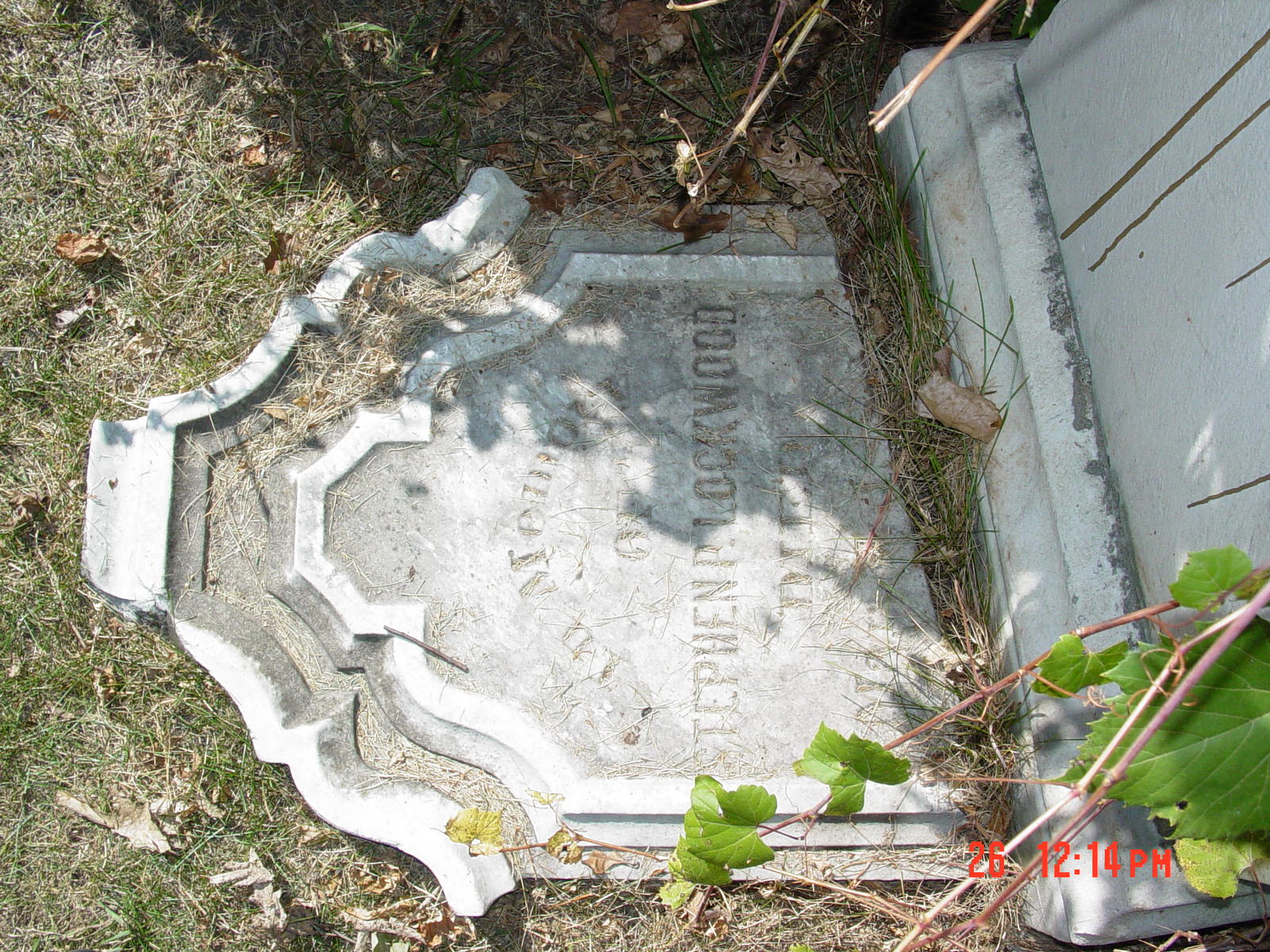 Portrait of Stephen P Lockwood