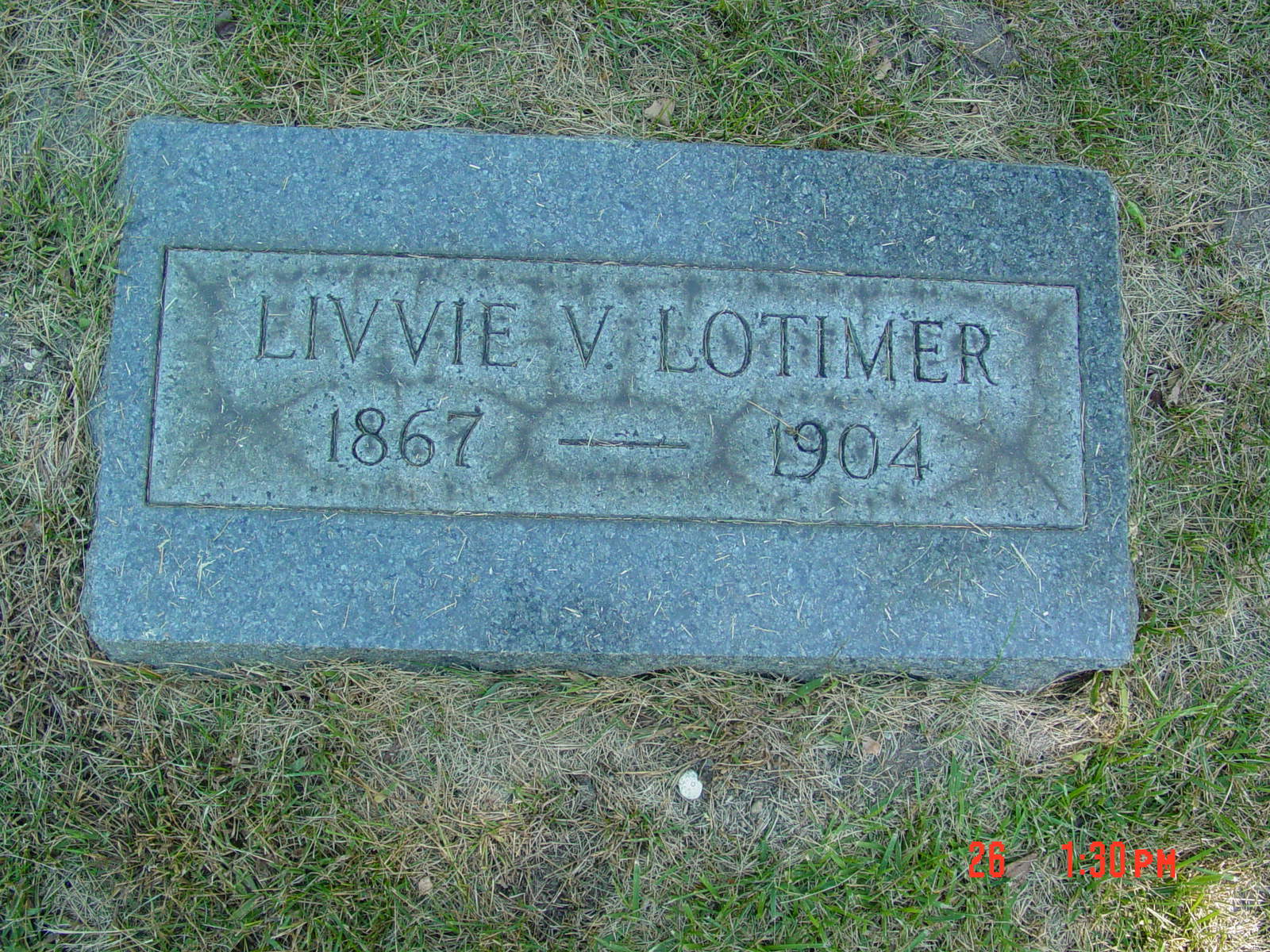 Portrait of Olivia V  Randall Lotimer