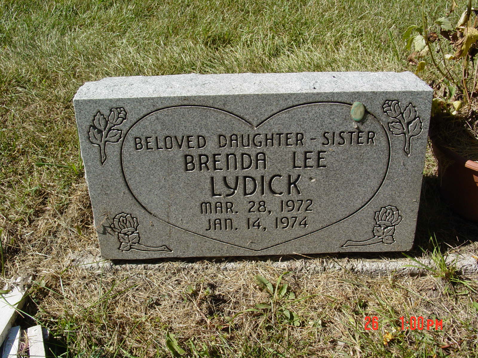 Portrait of Brenda Lee Lydick