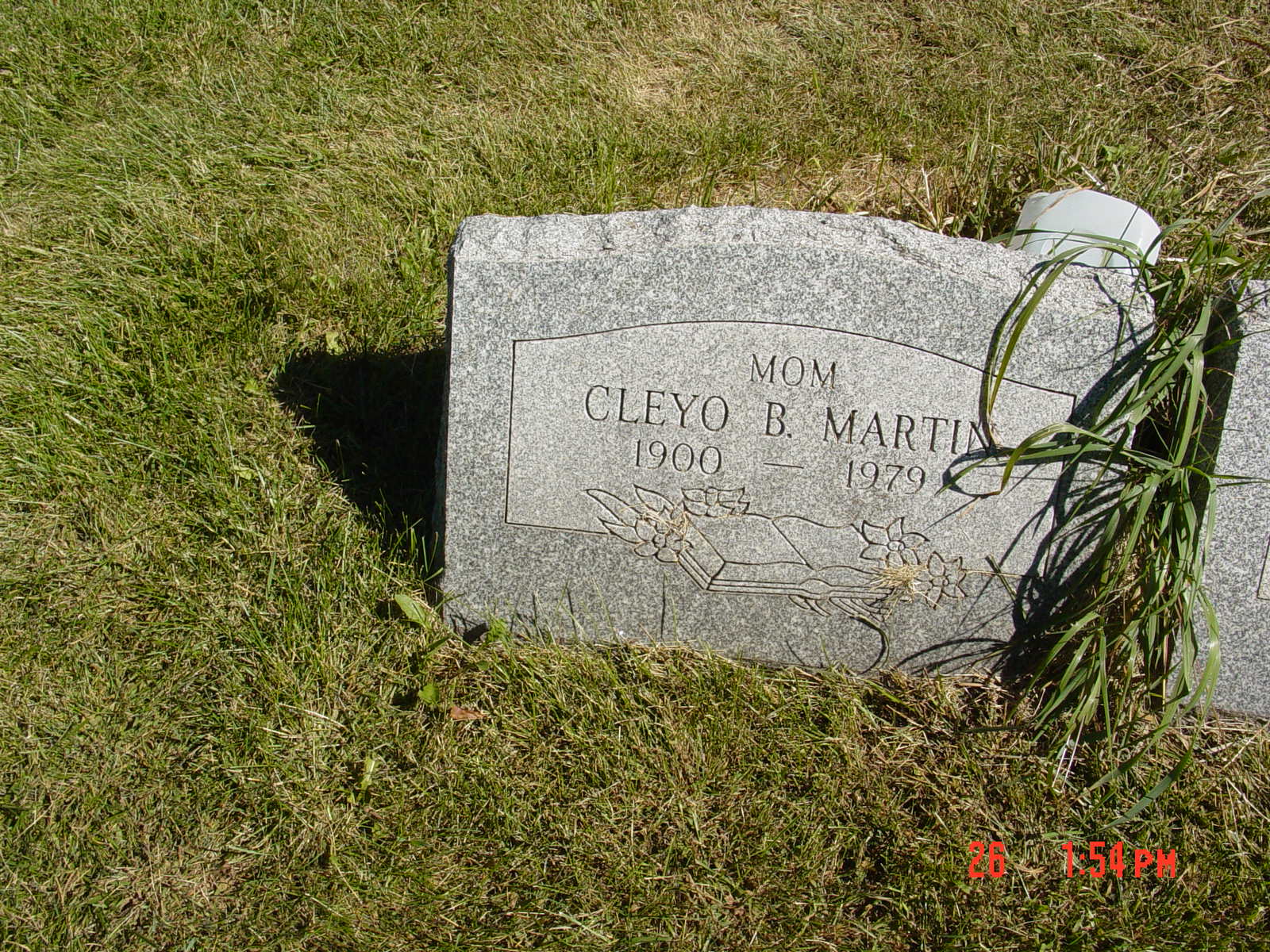Portrait of Cleyo B Martin