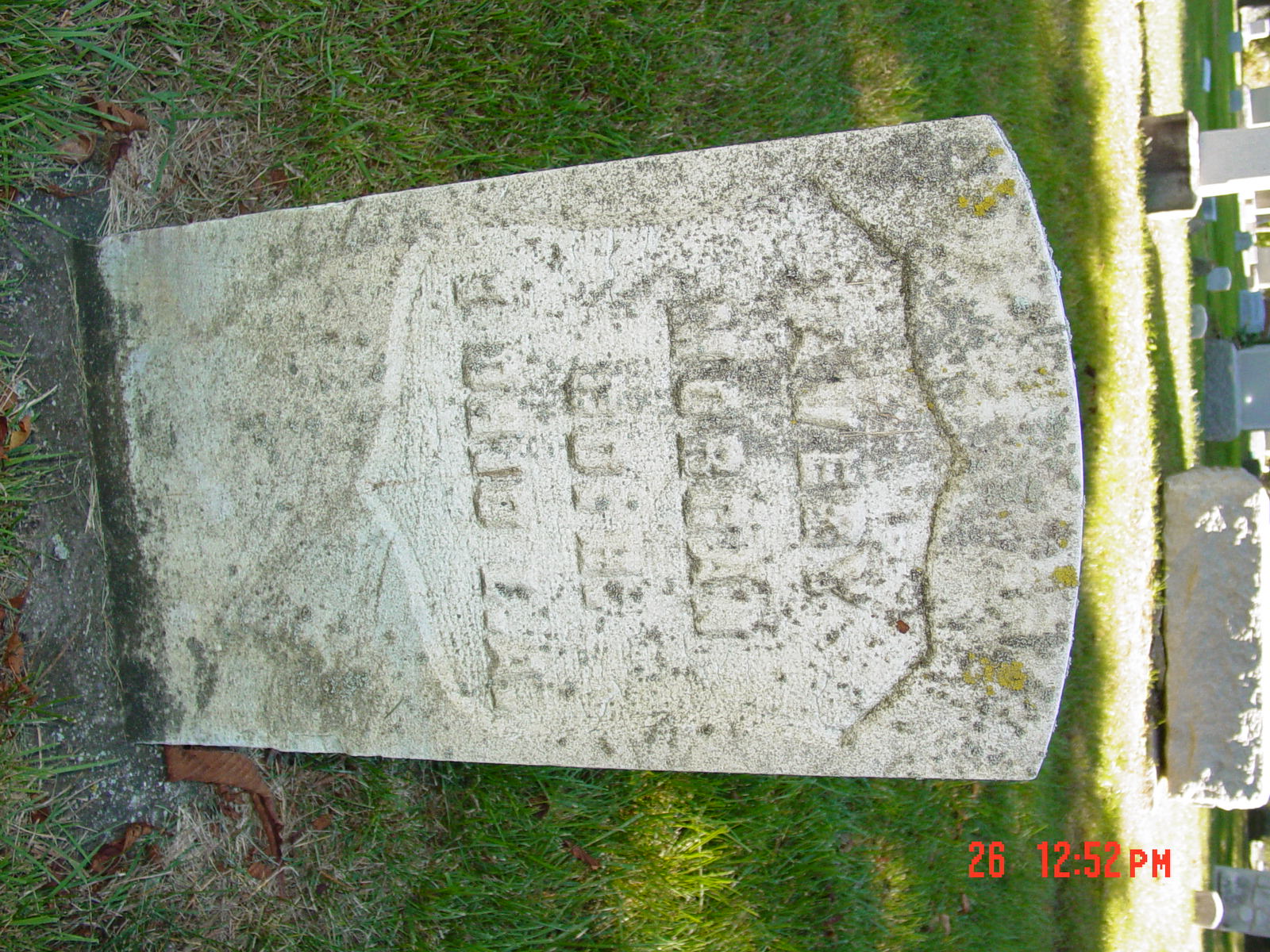 Portrait of Avery Morgan
