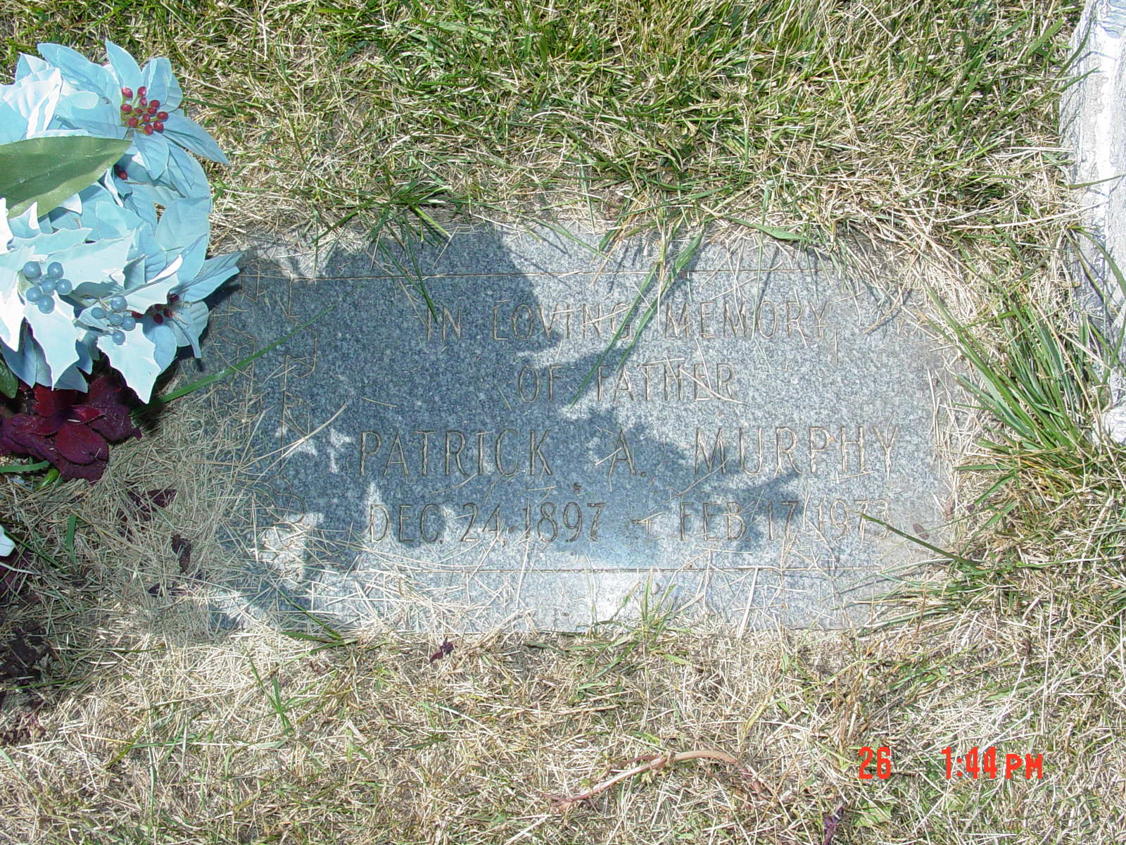 Portrait of Patrick A Murphy