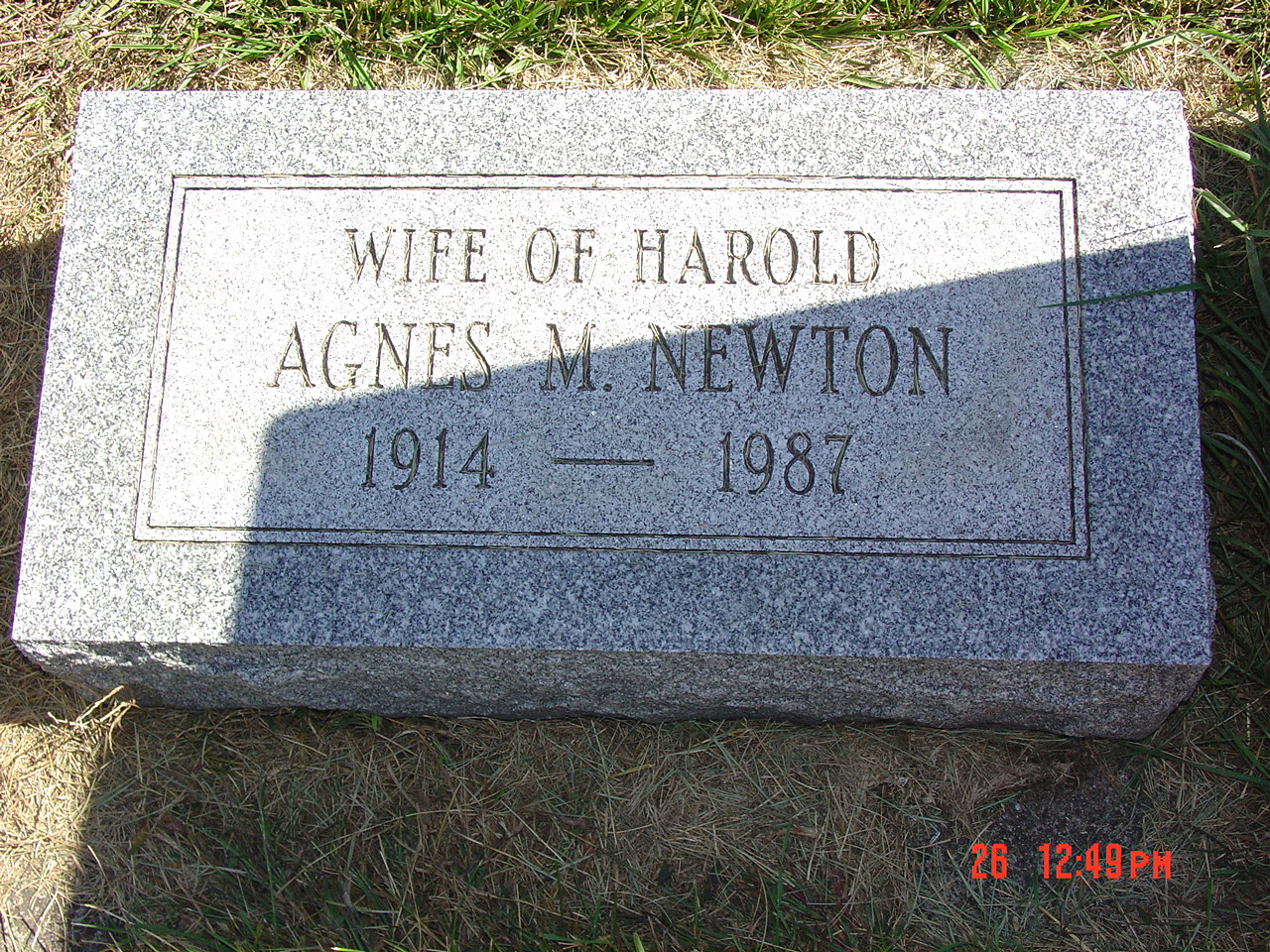 Portrait of Agnes M Newton
