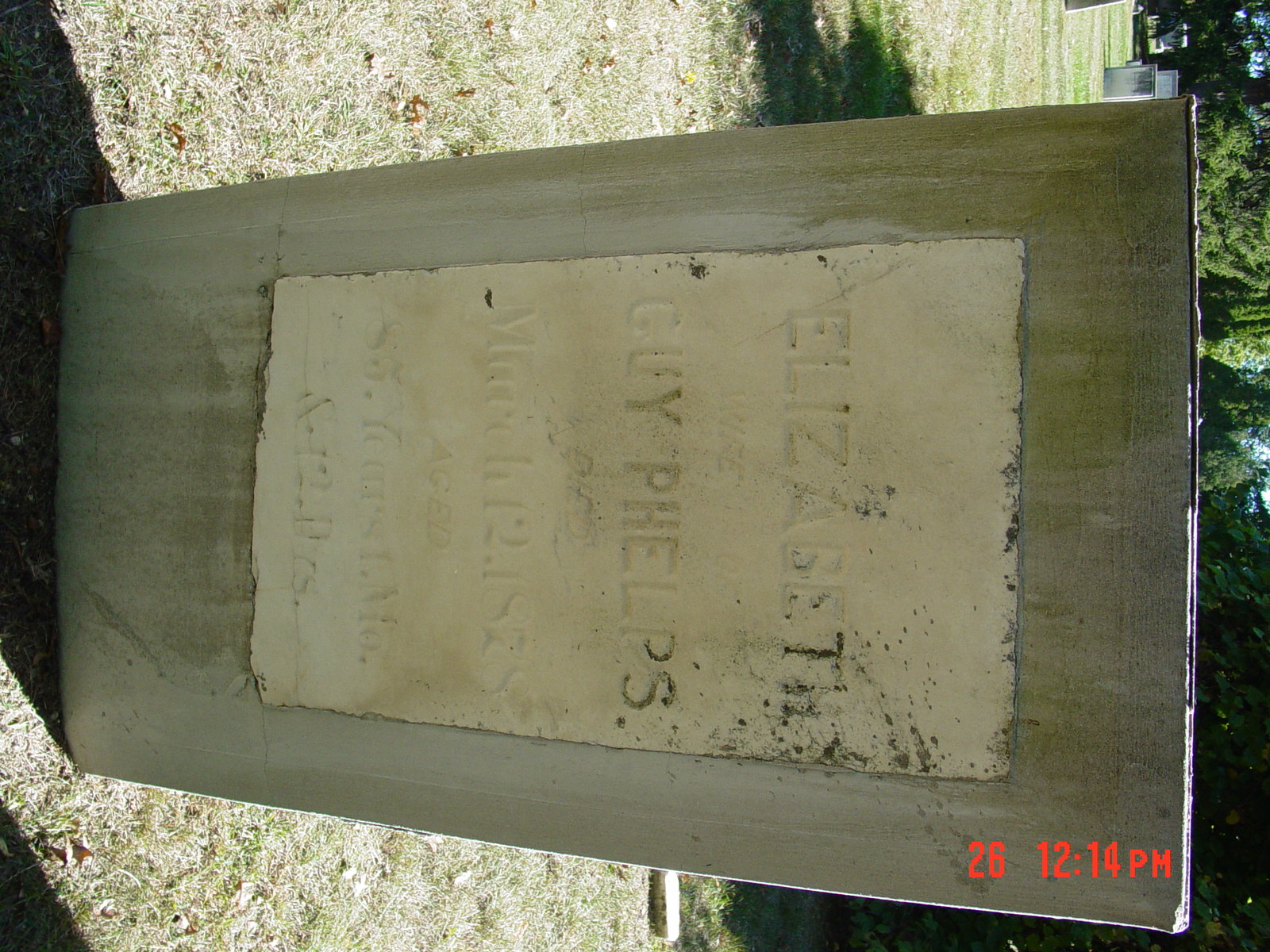 Portrait of Elizabeth Phelps