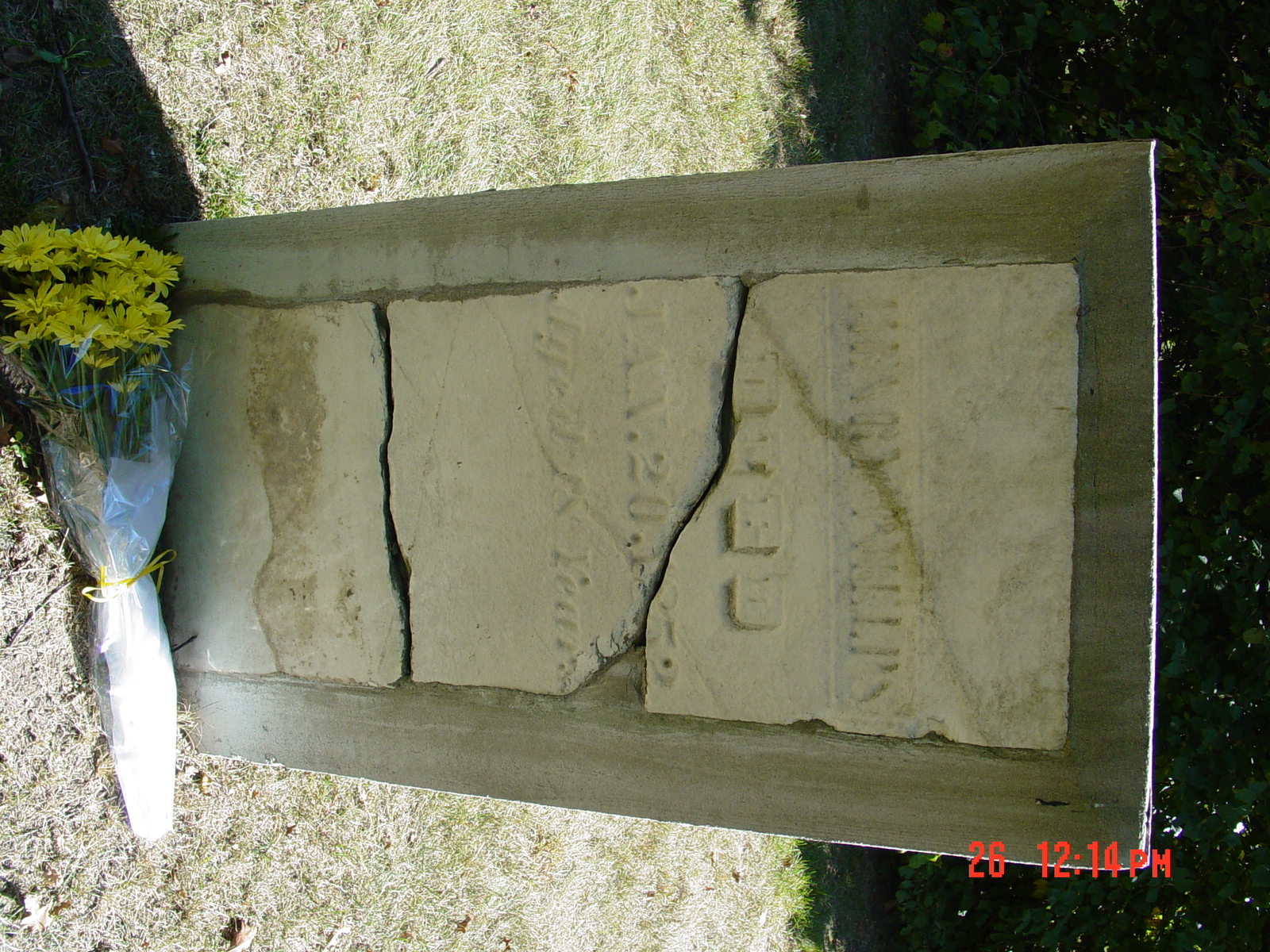 Portrait of Henry Phelps