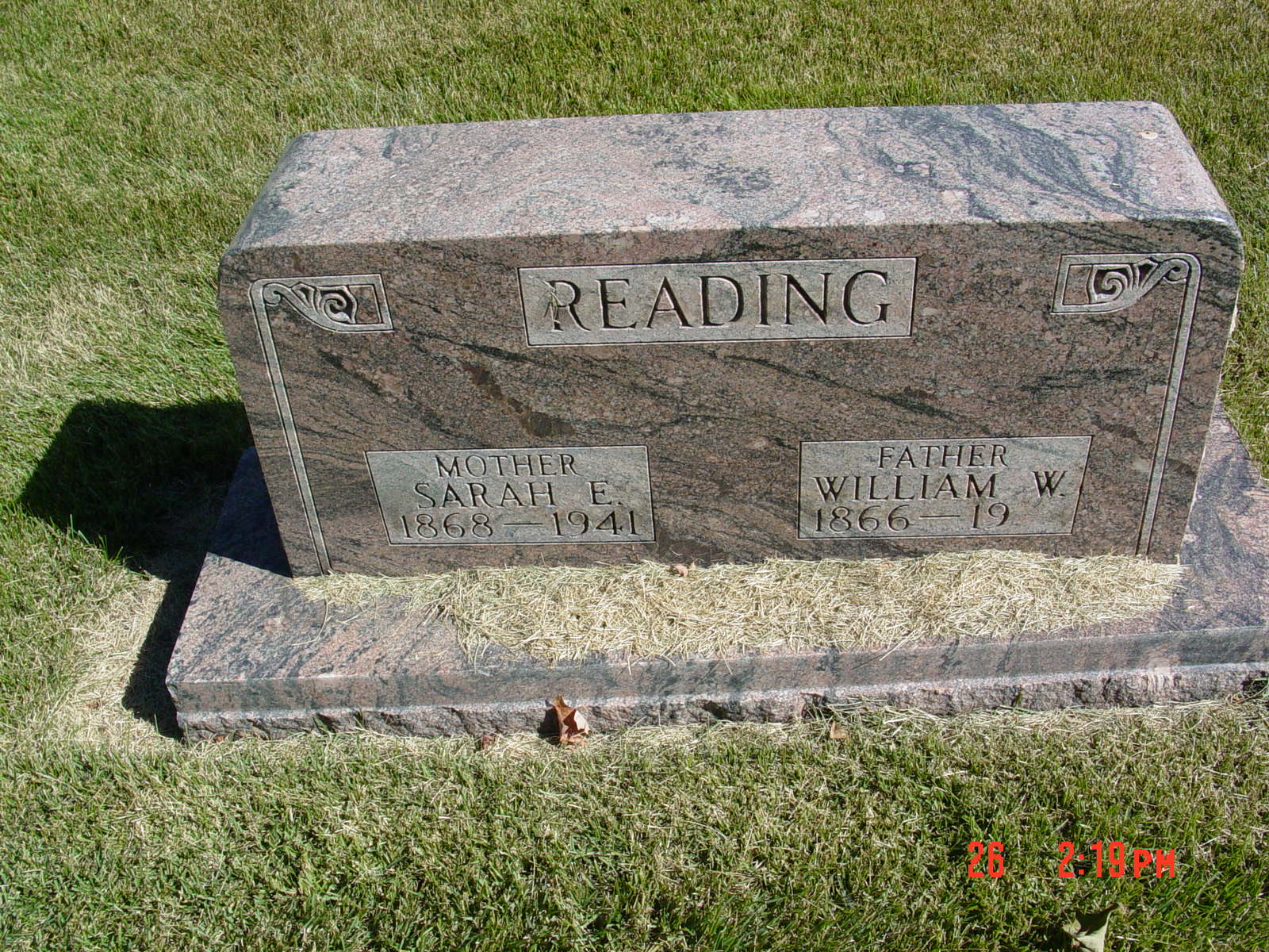 Portrait of William W Reading