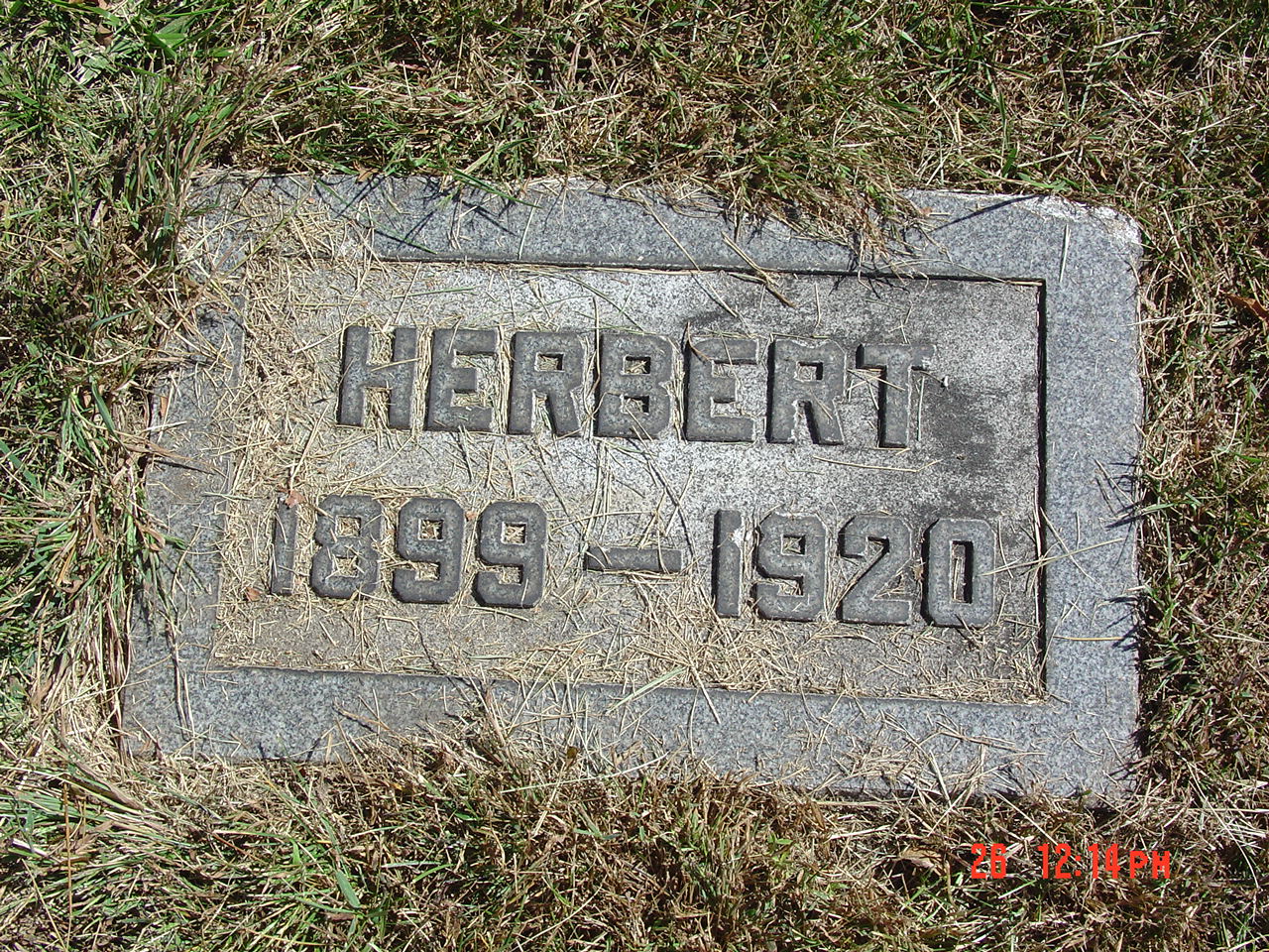 Portrait of Herbert DeVitt Reynolds