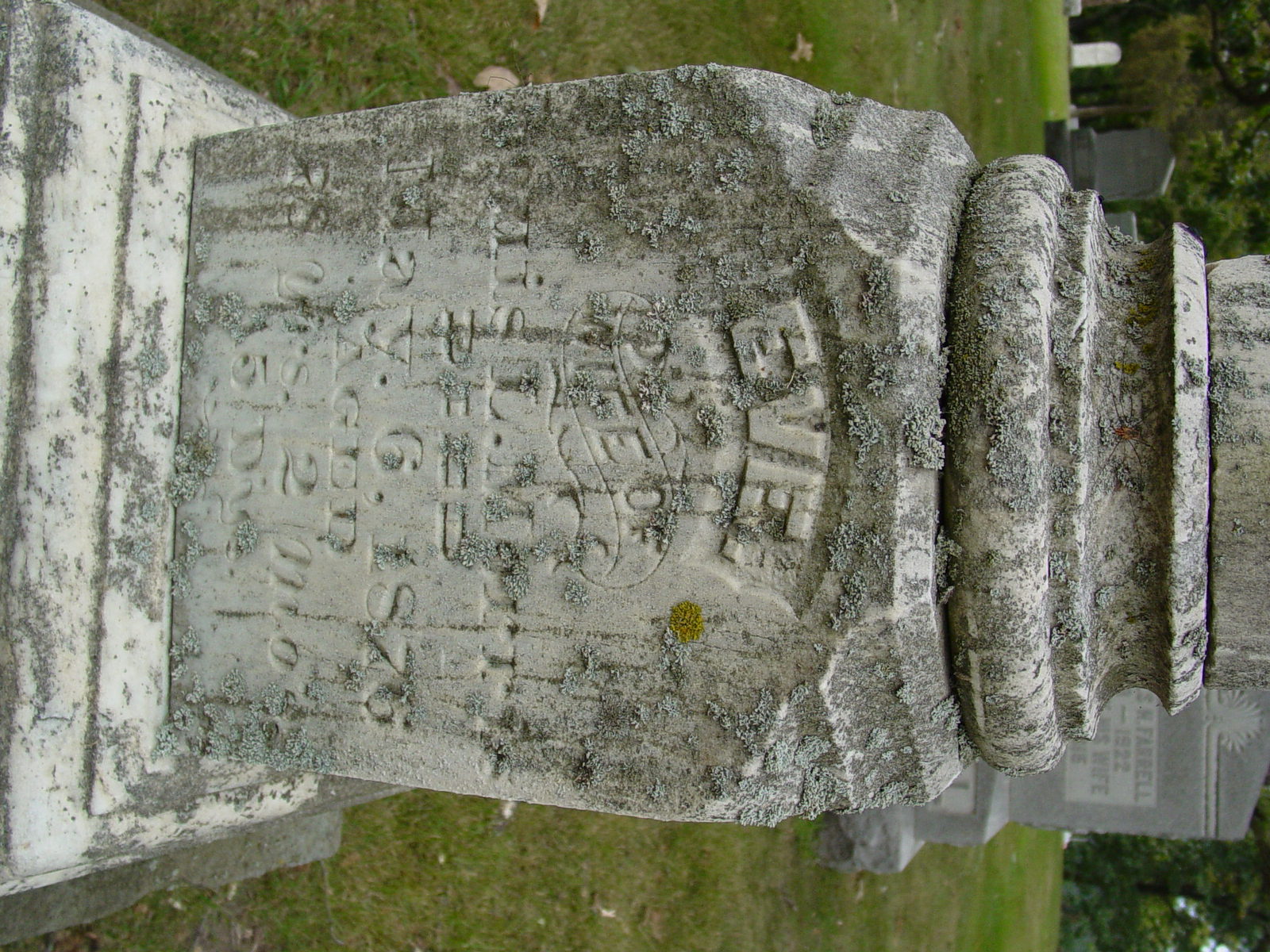 Portrait of Eve  VanVackenburg