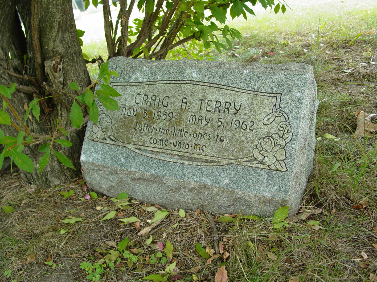 Portrait of Craig Allen Terry
