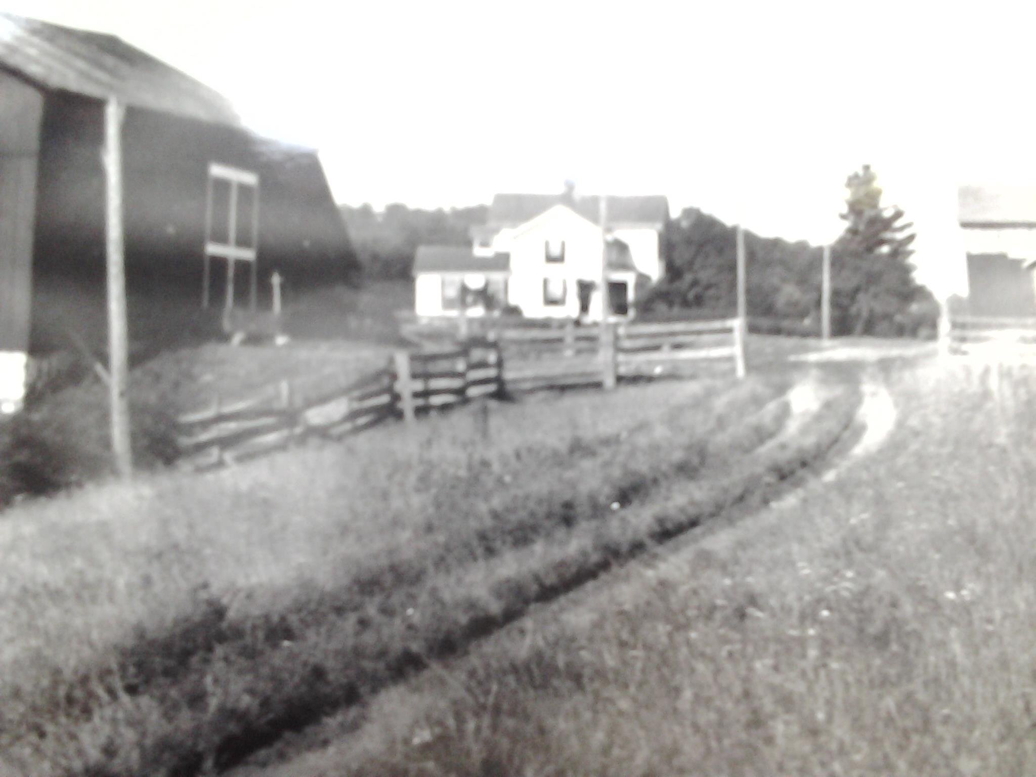 Beatie farm - Waterford