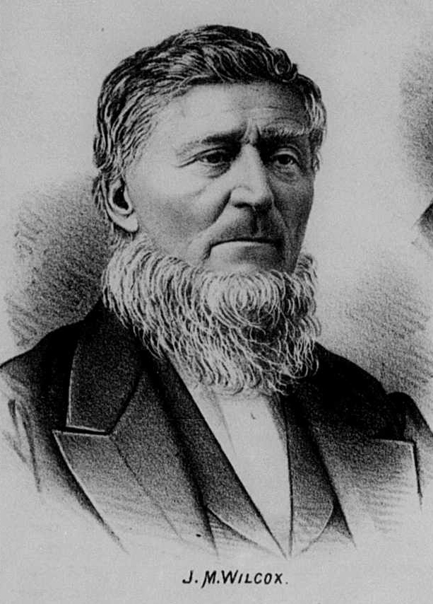 Portrait of John Martin Wilcox