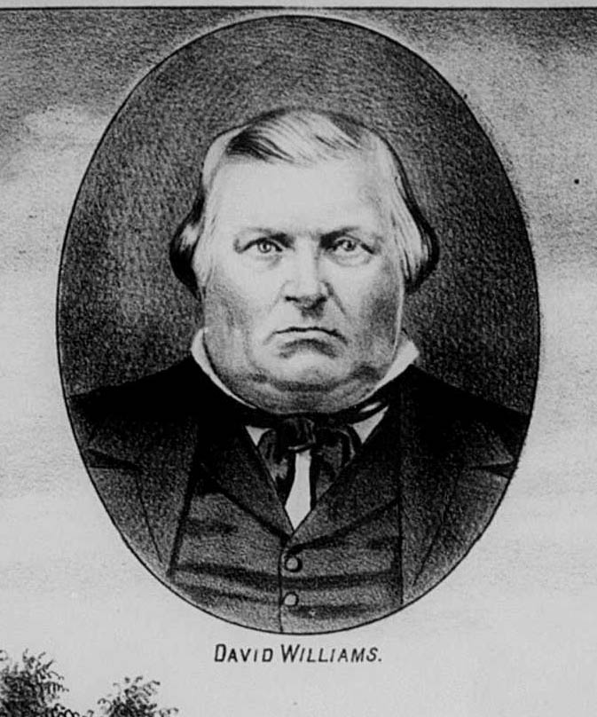 Portrait of David  Williams